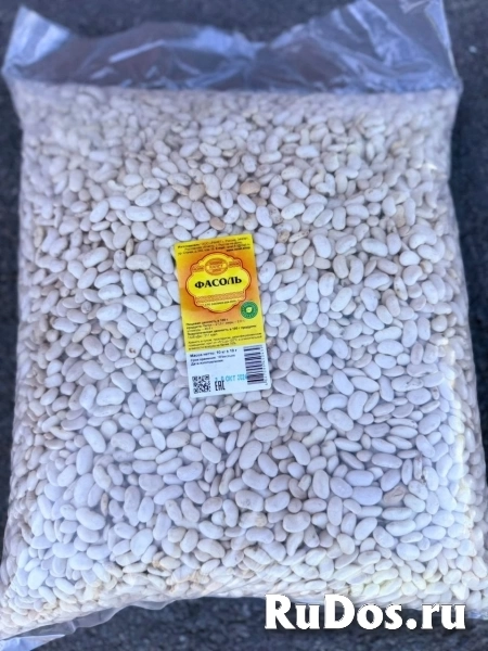Фасоль фото