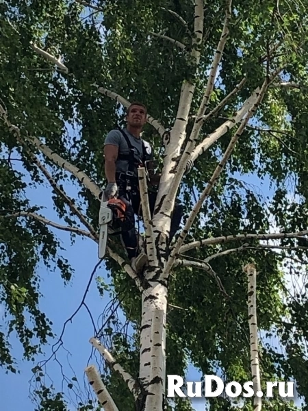 Выполняем все виды строительных работ фотка