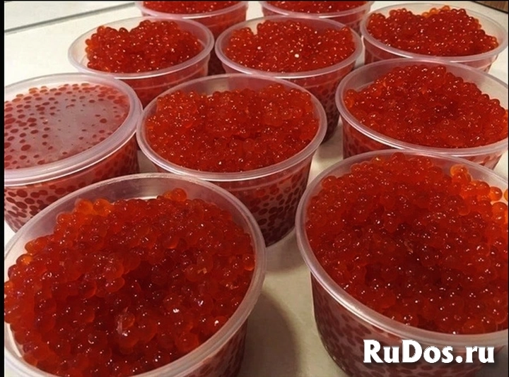Икра кета фотка