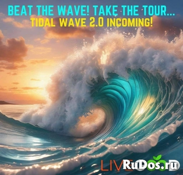 ПРЕДЛАГАЮ ПАРТНЕРСТВО В РЕГИОНАХ И ДРУГИХ СТРАНАХ фото