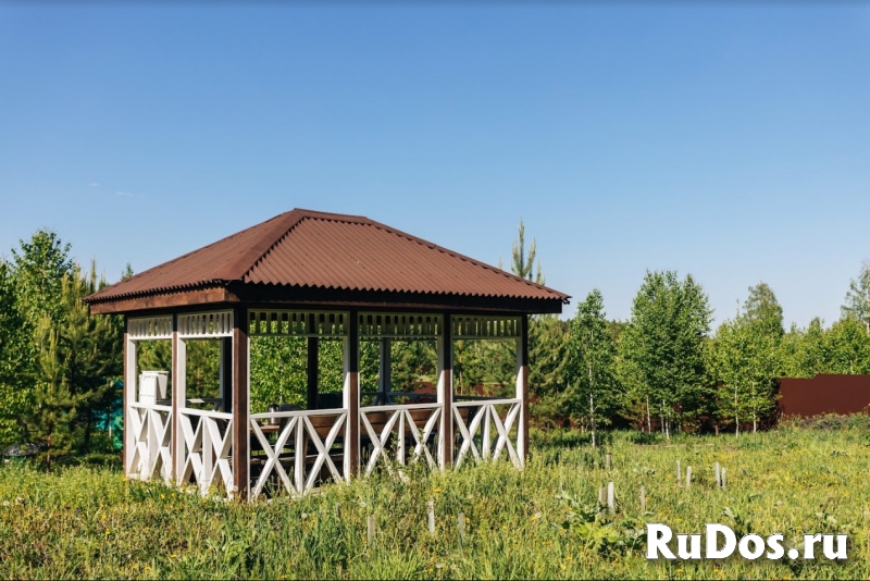 Земельный участок с озером и лесом изображение 3