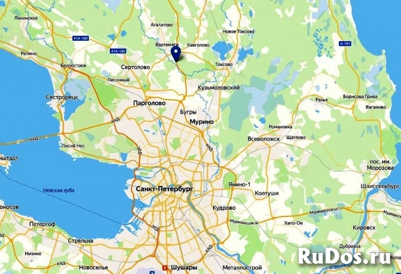 Земельный участок в Ленинградской области фотка