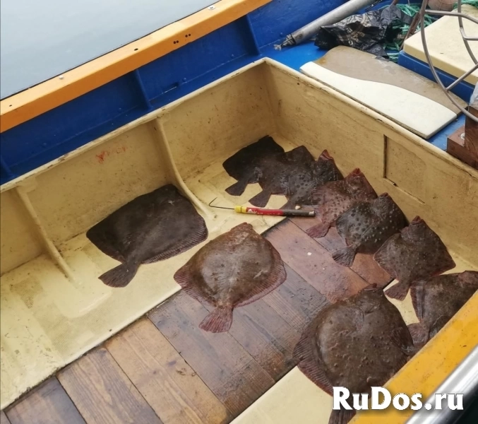 Морские прогулки по черноморскому побережью фото