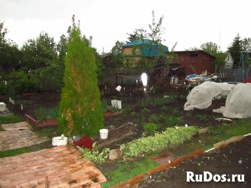 Дача СНТ Отдых изображение 3