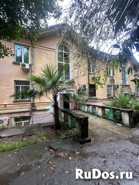 Сталинка на Светлане изображение 8