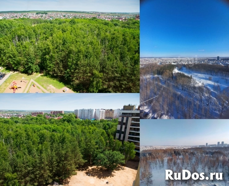 Карачаровская Лес Казани изображение 6