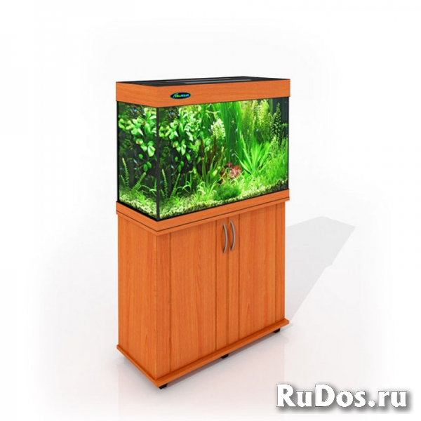 Магазин аквариумов изображение 4