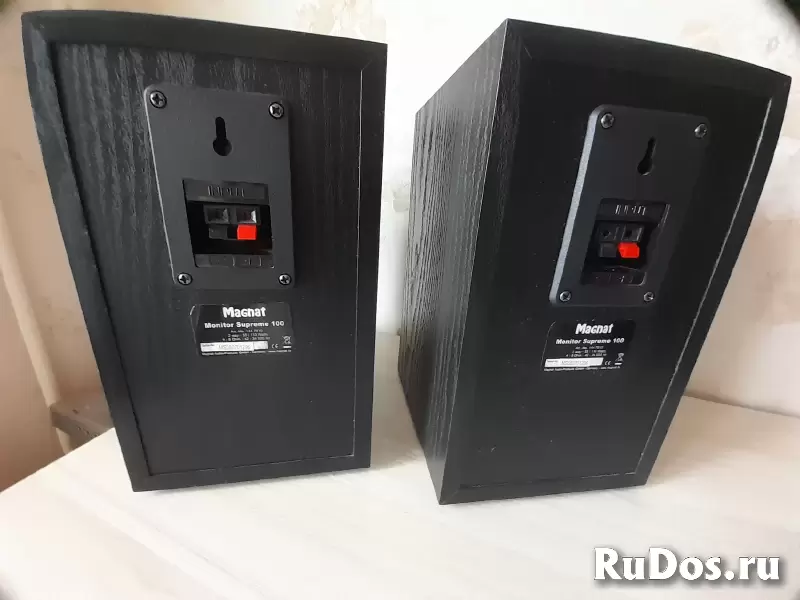 Мониторные акустика Magnat Monitor Supreme 100 изображение 8