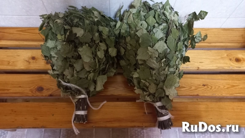 Баня.Веники дубовые,березовые. фото