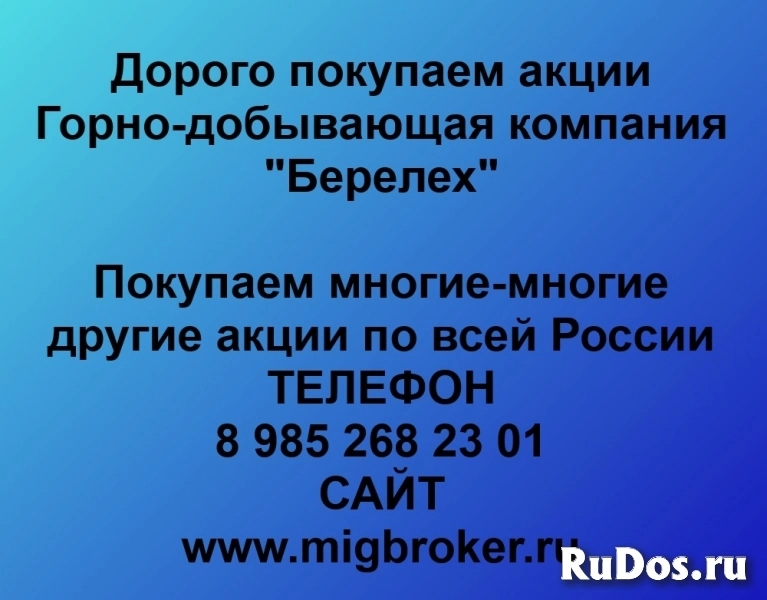 Покупаем акции Горно добывающая компания Берелех фото