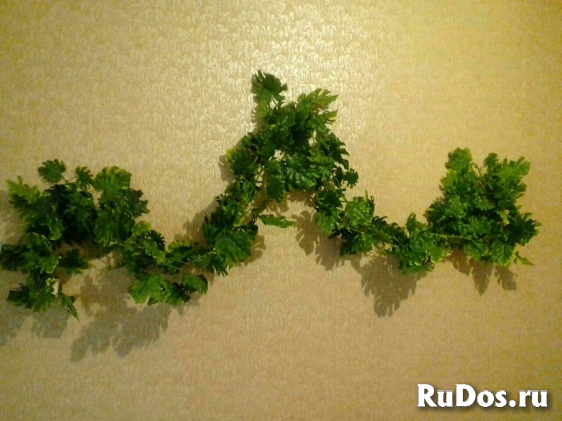 Продам искусственые цветы изображение 4