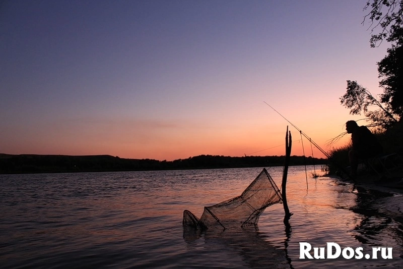 Инвестпроект - Земля в лесу у реки Дон под комплексную застройку изображение 3