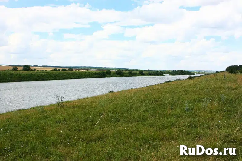 Земля в лесу у реки Дон под коттедхную застройку и базу отдыха изображение 9