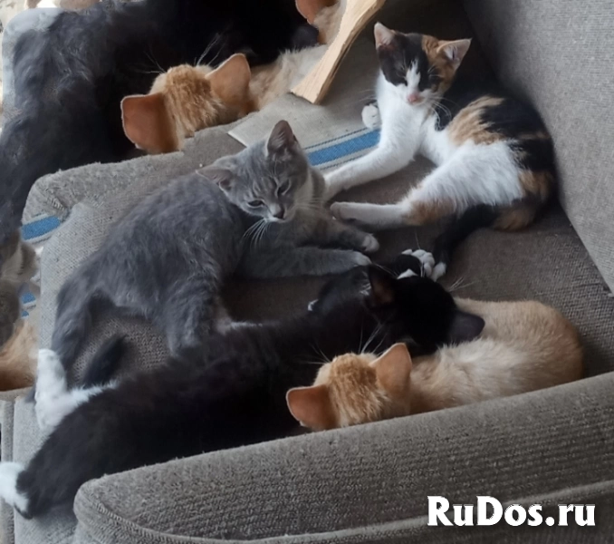 Для добрых людей изображение 6