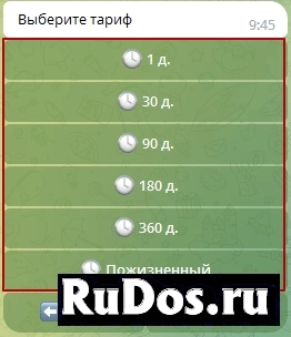 ВПН ДЛЯ РОССИИ – защита свои данных и заработок денег изображение 8