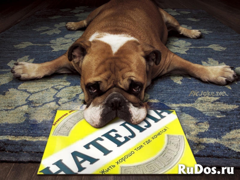 Предпродажная подготовка помещений квартир и комнат фото