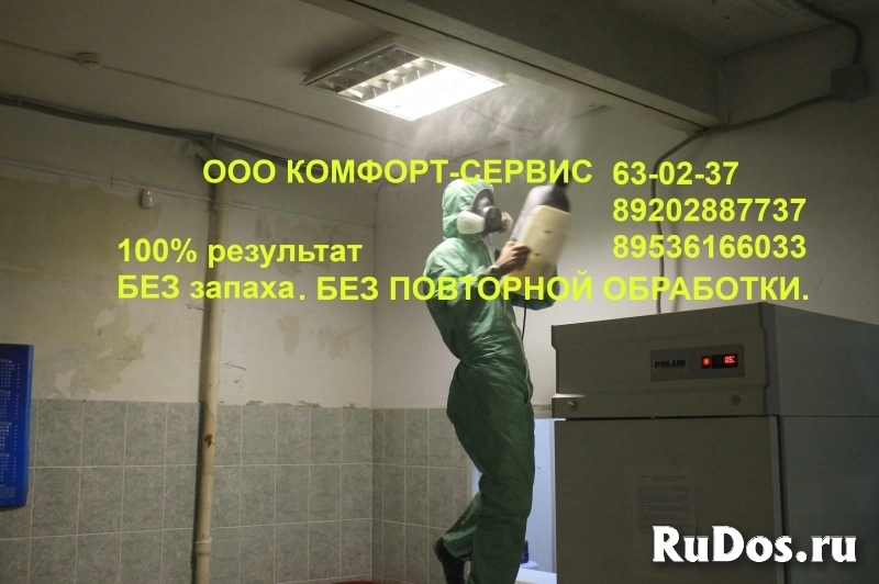 Уничтожение клопов холодным туманом без запаха фотка