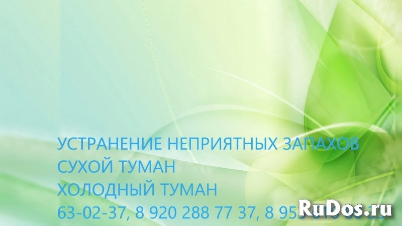 Удаление неприятного запаха после смерти человека изображение 4