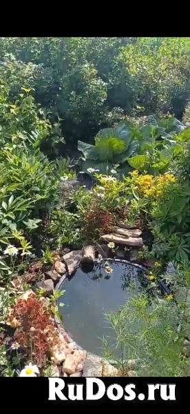 Продам дачу изображение 5