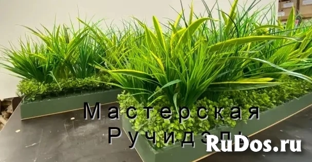 Искусственные растения для офиса, фито-композиции на заказ изображение 7