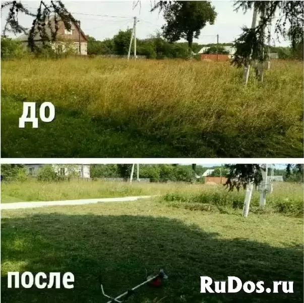 Расчистка участков; Благоустройство; Вывоз мусора: Недорого! Воронеж изображение 4