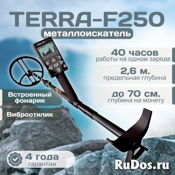 Металлоискатель TERRA-F250 фото