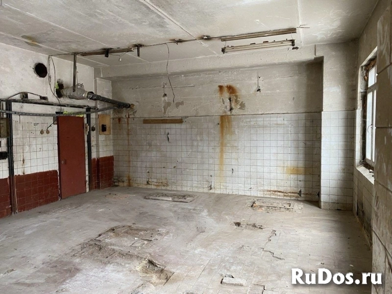 Сдам коммерческую недвижимость 51 м2 изображение 3