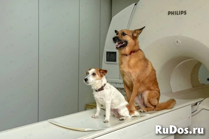 Требуется Анестезиолог реаниматолог. фото