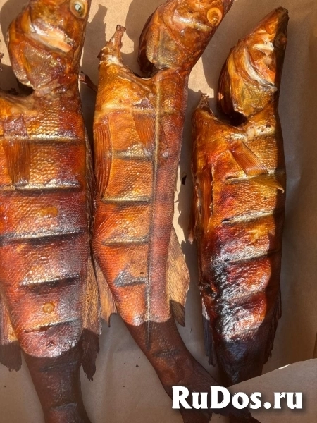 Бaза отдыха "Bолжaнка", на берегу Волги, рыбалка изображение 8