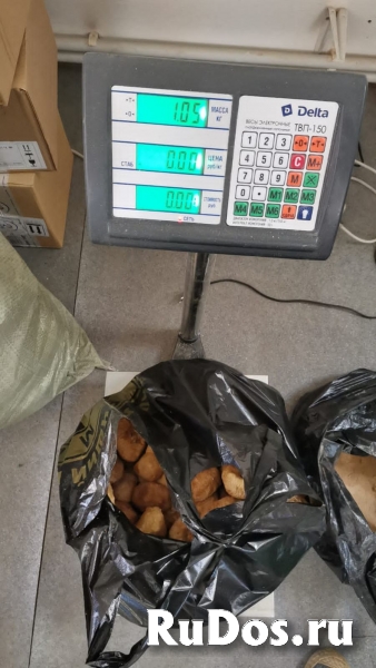 Ежовик (Ежевик) гребенчатый изображение 3