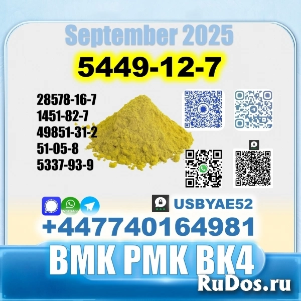 BMK glycidic acid 5449-12-7 PMK Source factory изображение 8