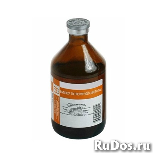 Конский возбудитель купить для женщин и мужчин фото