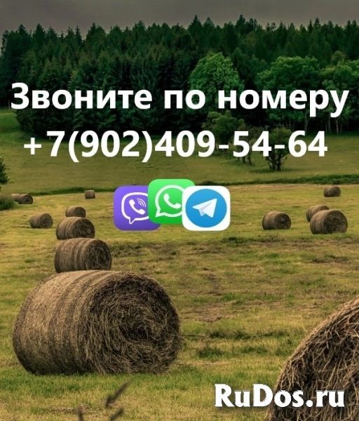 Сдам дом длительно, в Чудово, недорого. Туалет в доме, есть баня! фотка