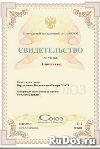 Сантехник фотка