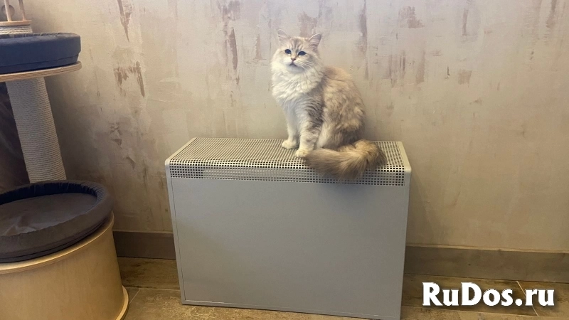 Экран на батарею изображение 5