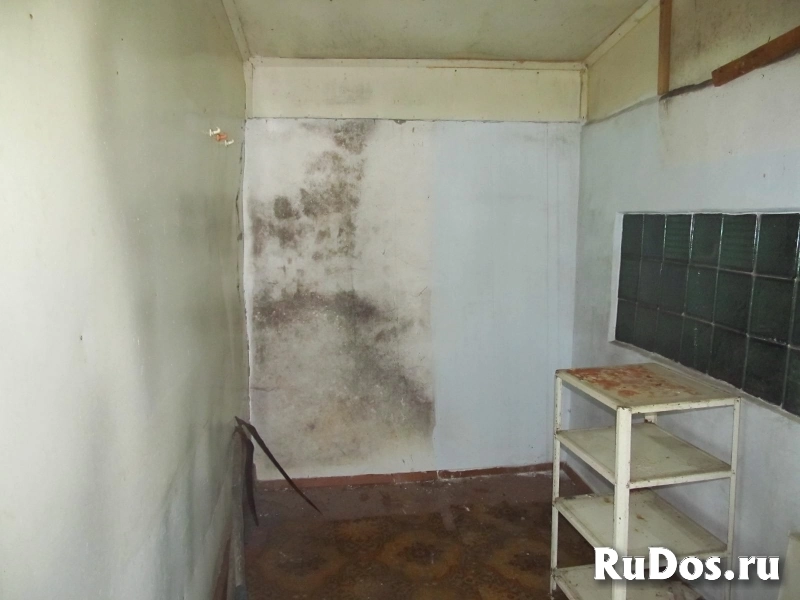 Дача СНТ Нива-82 изображение 8