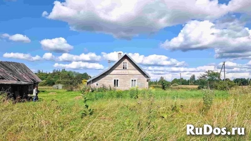 Дом на уютном хуторе у хвойного леса под Псковскими Печорами, 6 Га. земли изображение 9