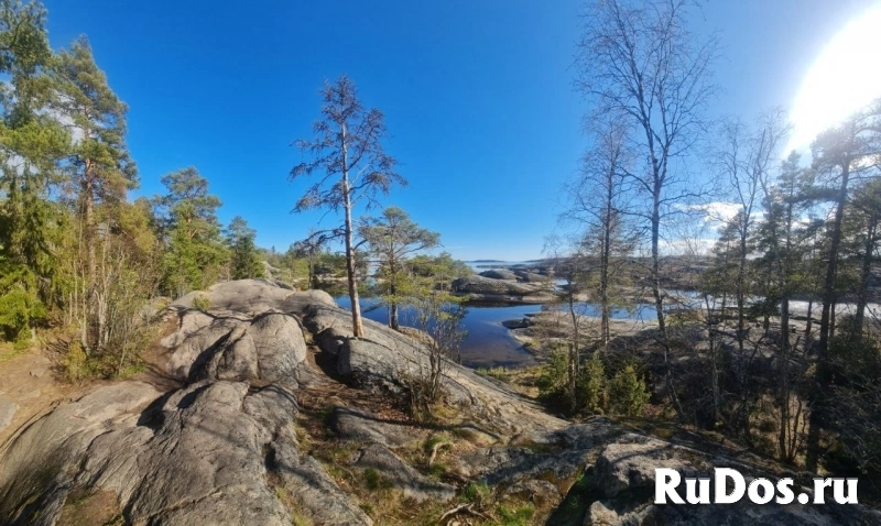 Валаам. Тур на Валаам из Питера изображение 6
