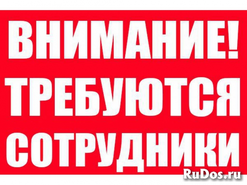 Личный ассистент руководителя от 22 000 до 48 000 рублей фото