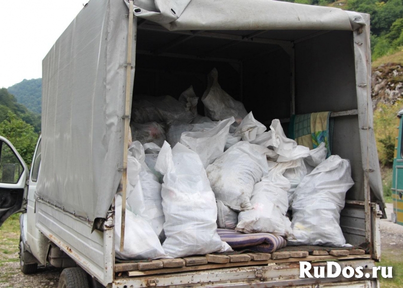 Вывоз мусора цена 3500 фото