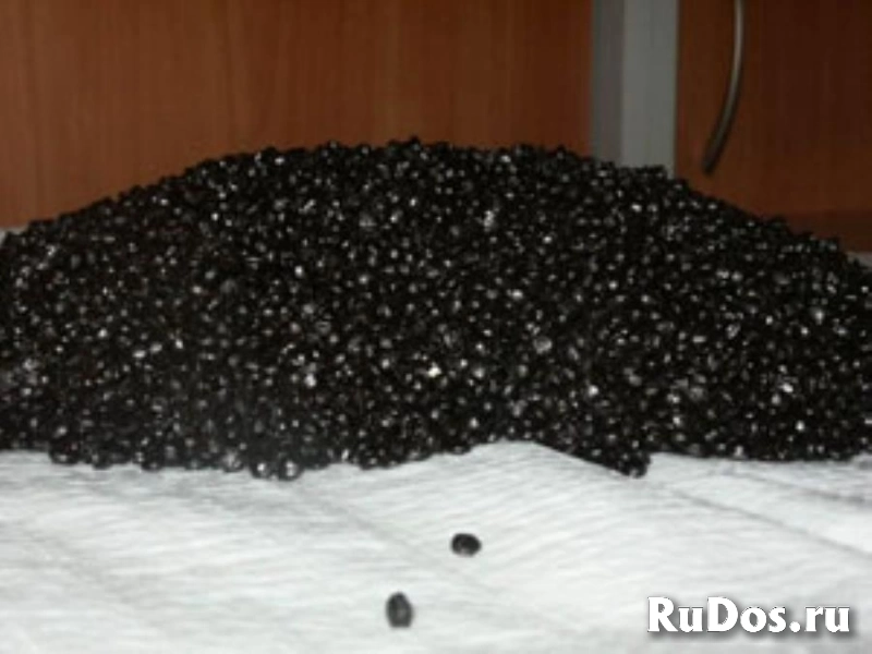 РТЭП-М Резиновый термоэластопласт для усиления асфальтобетона фото