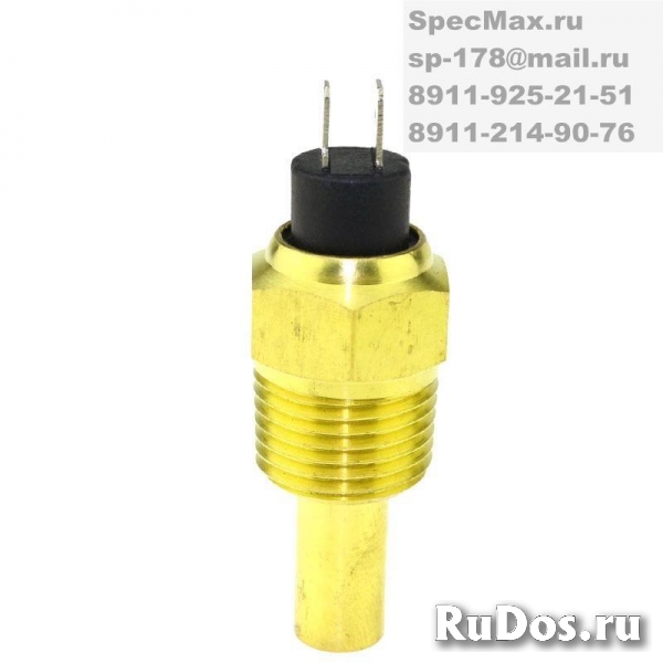 Датчик температуры C3967250 фото