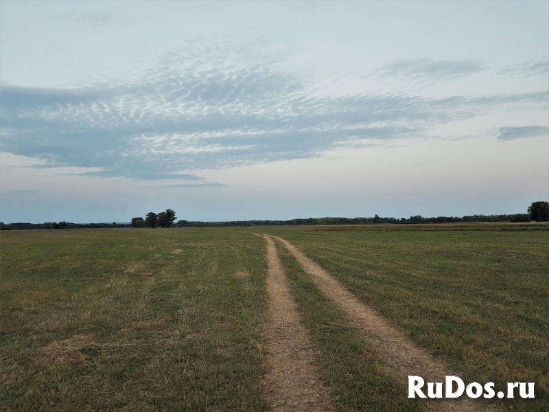 Продажа земельного участка сельхозназначения фото