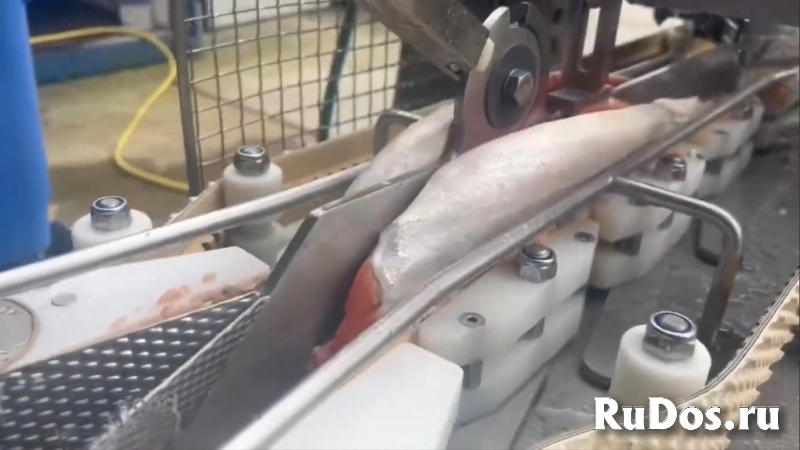 Филетировочная машина Carnitech CT2611 изображение 8