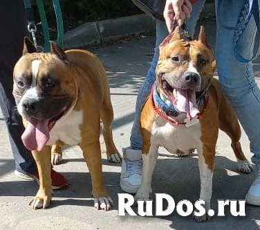 Чудесные мальчики и девочки аст бронь фотка