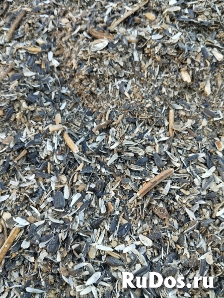 Отходы семян подсолнечника навалом изображение 11