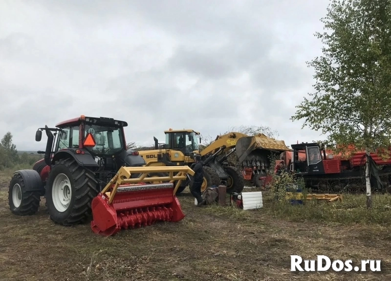 Расчистка участка мульчером от 1 Га, спил деревьев изображение 4