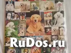 для книг, учебников изображение 5