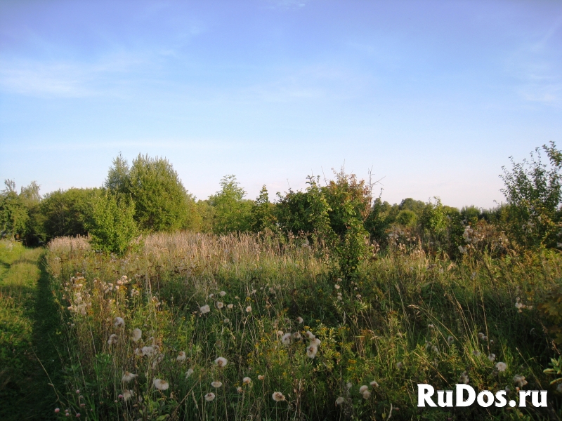 Участок 24 сотки 2,5 км от р. Оки, 11 км от п. Заокский. изображение 5