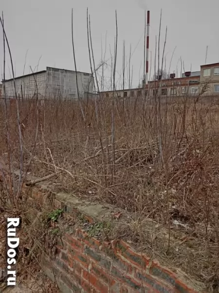 Участок промназначения 60 сот. изображение 4